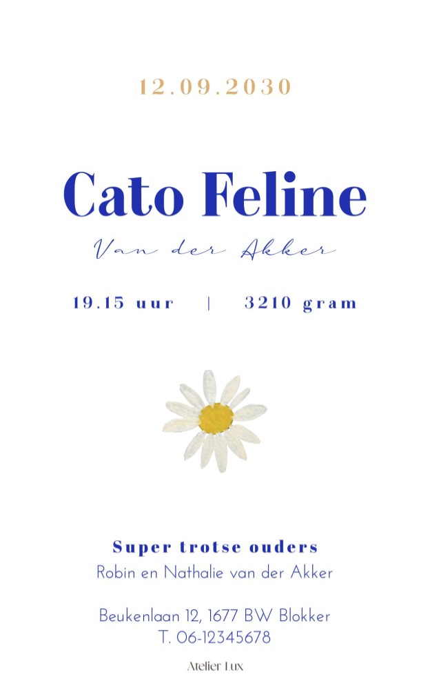 Geboortekaartje madeliefjes blauw met bloemen Cato Atelier Lux